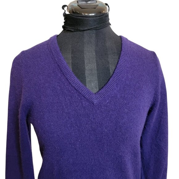 Only Mine 2-Ply Cashmere V-Neck Sweater – Size MP (Petite Medium) | Jewel Purple - Picture 6 of 8